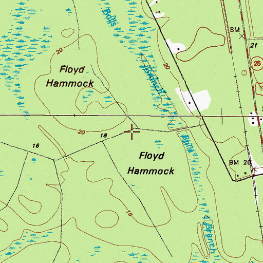Topographic Map of Floyd Hammock, GA