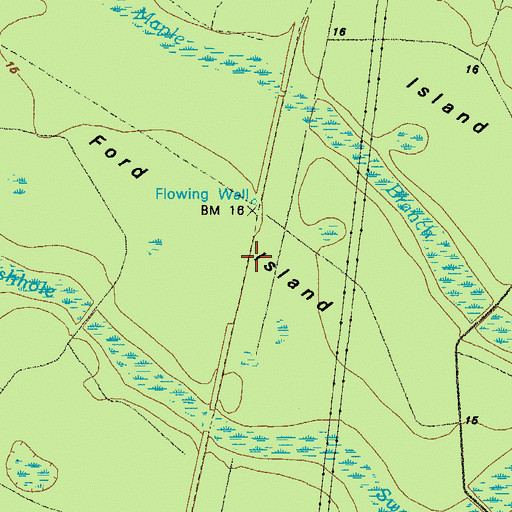 Topographic Map of Ford Swamp, GA