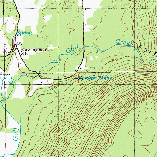 Topographic Map of Forester Spring, GA
