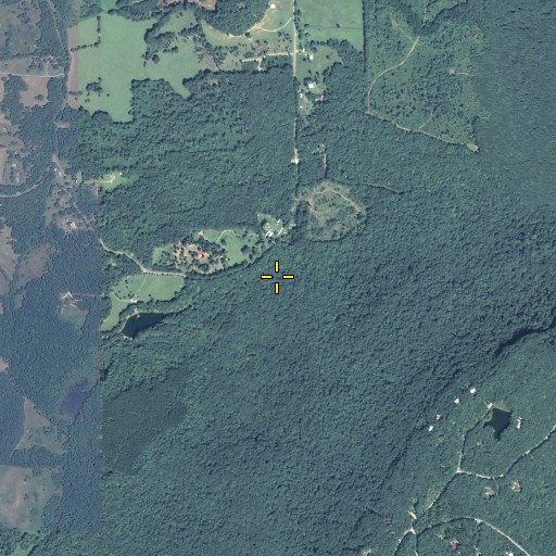 Aerial/Satellite Image of Forester Spring, GA