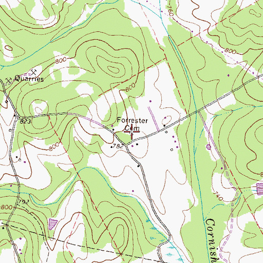 Topographic Map of Forrester Cemetery, GA