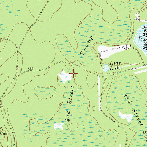 Topographic Map of Fortysecond Street Swamp, GA