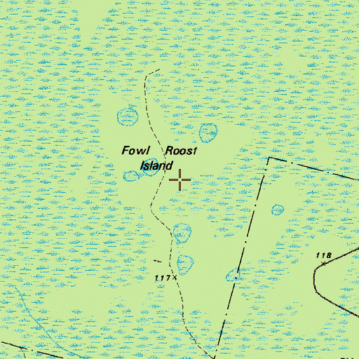 Topographic Map of Fowl Roost Island, GA