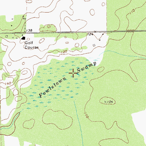 Topographic Map of Fowlstown Swamp, GA