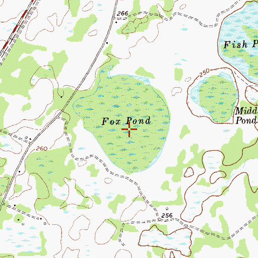 Topographic Map of Fox Pond, GA