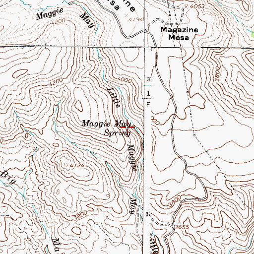 Topographic Map of Maggie May Spring, AZ