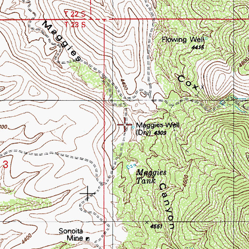 Topographic Map of Maggies Well, AZ