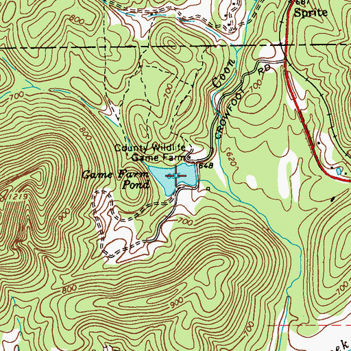 Topographic Map of Game Farm Pond, GA