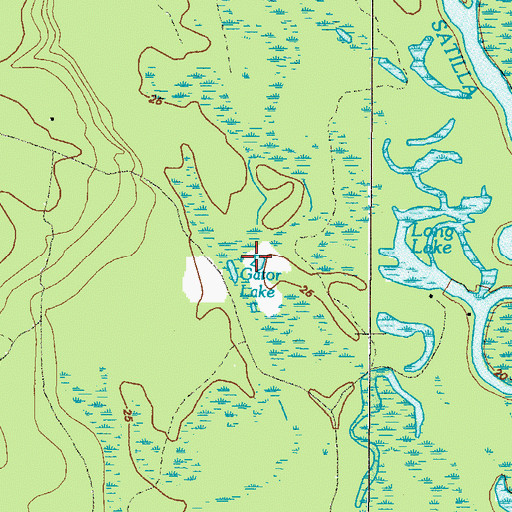 Topographic Map of Gator Lake, GA