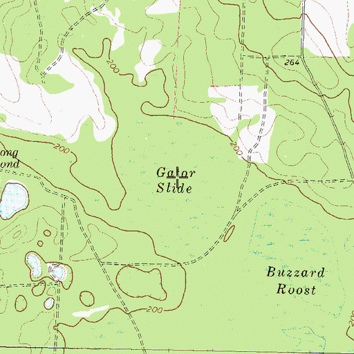 Topographic Map of Gator Slide, GA