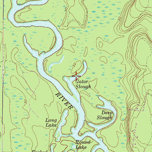 Topographic Map of Gator Slough, GA