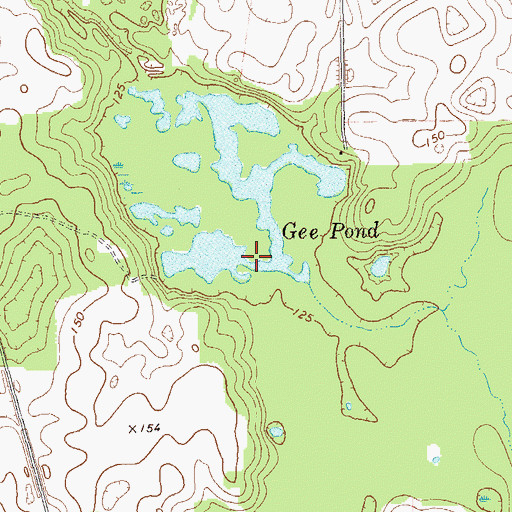 Topographic Map of Gee Pond, GA