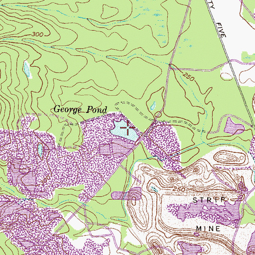 Topographic Map of George Pond, GA