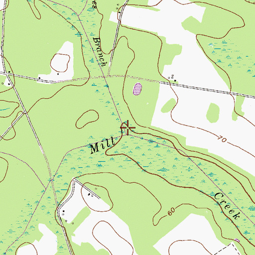 Topographic Map of Georges Branch, GA