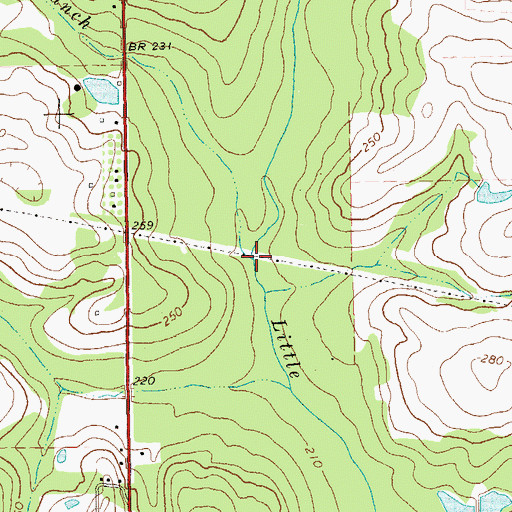 Topographic Map of Gin Branch, GA
