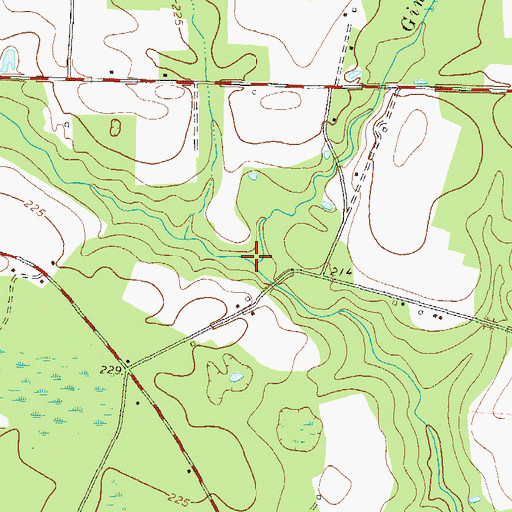 Topographic Map of Gin Branch, GA