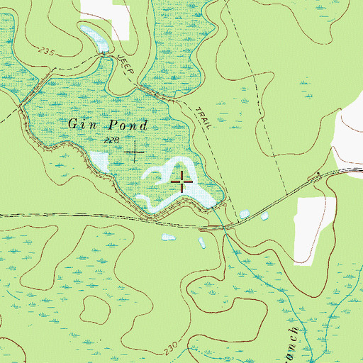 Topographic Map of Gin Pond, GA