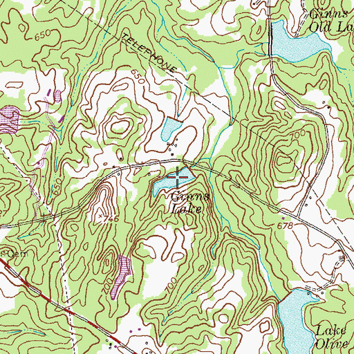 Topographic Map of Ginns Lake, GA