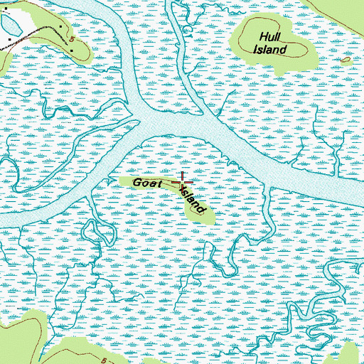 Topographic Map of Goat Island, GA