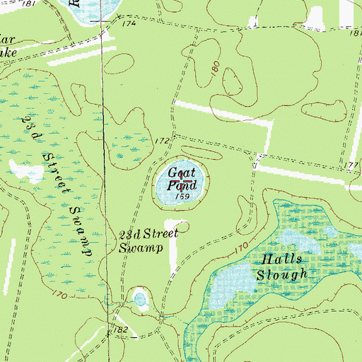 Topographic Map of Goat Pond, GA