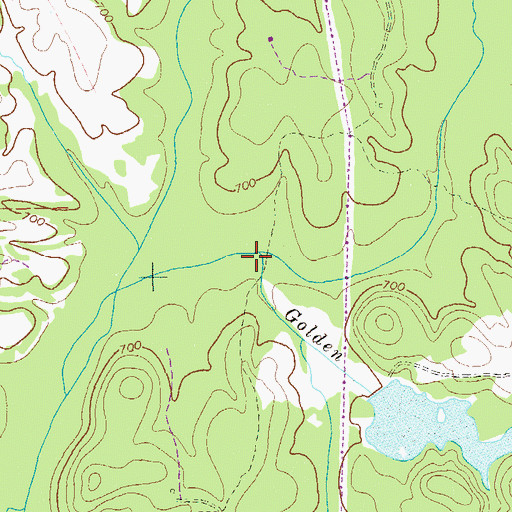 Topographic Map of Golden Creek, GA