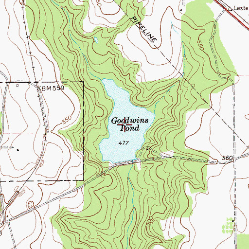Topographic Map of Goodwins Pond, GA