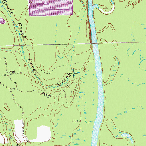 Topographic Map of Goose Creek, GA