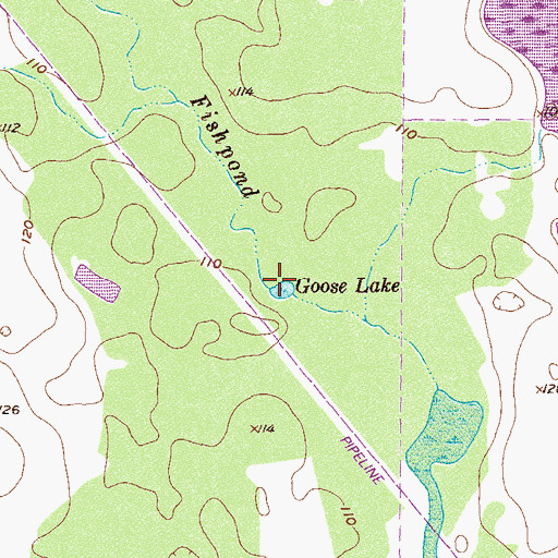 Topographic Map of Goose Lake, GA