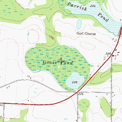 Topographic Map of Goose Pond, GA
