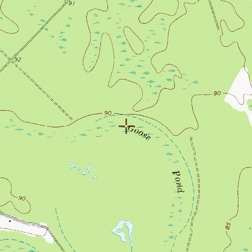 Topographic Map of Goose Pond, GA