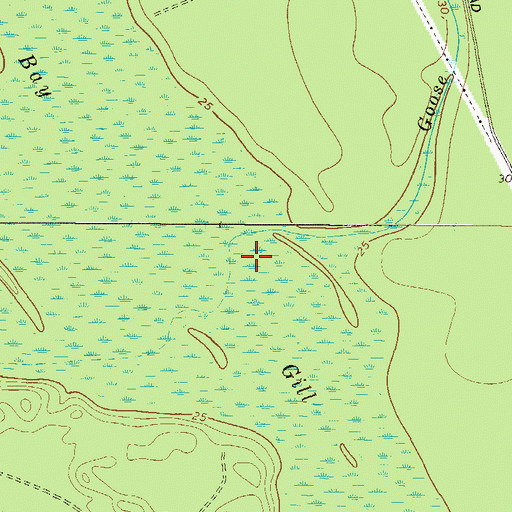 Topographic Map of Goose Run Creek, GA