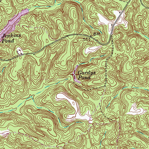 Topographic Map of Gordys Pond, GA