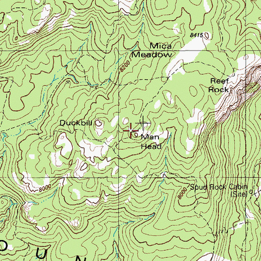 Topographic Map of Man Head, AZ