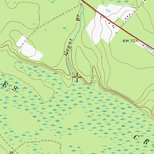 Topographic Map of Grant Branch, GA