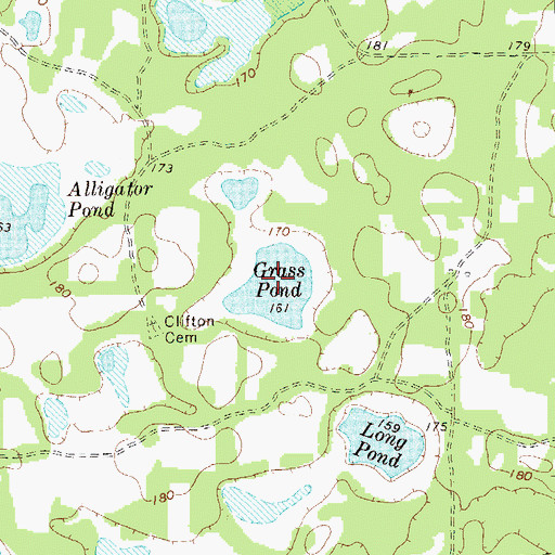 Topographic Map of Grass Pond, GA