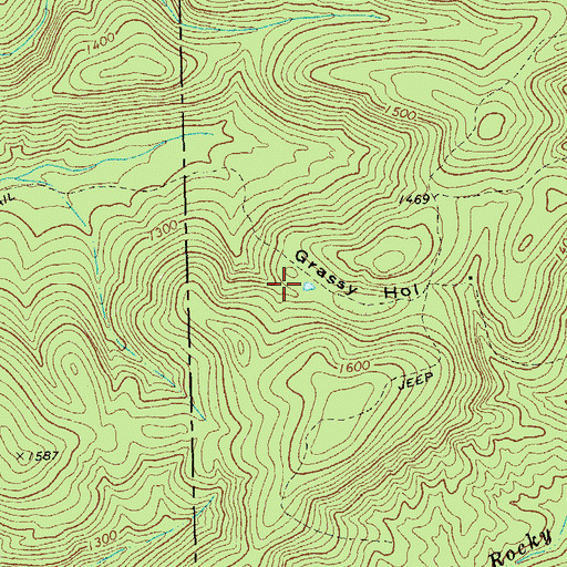 Topographic Map of Grassy Hollow, GA