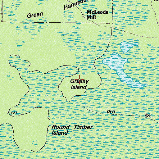 Topographic Map of Grassy Island, GA