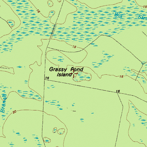 Topographic Map of Grassy Pond Island, GA