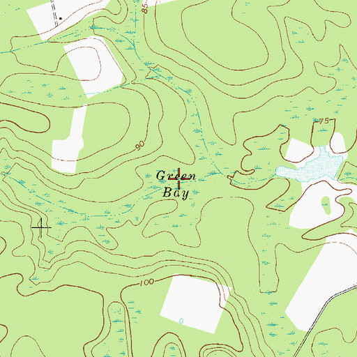Topographic Map of Green Bay, GA