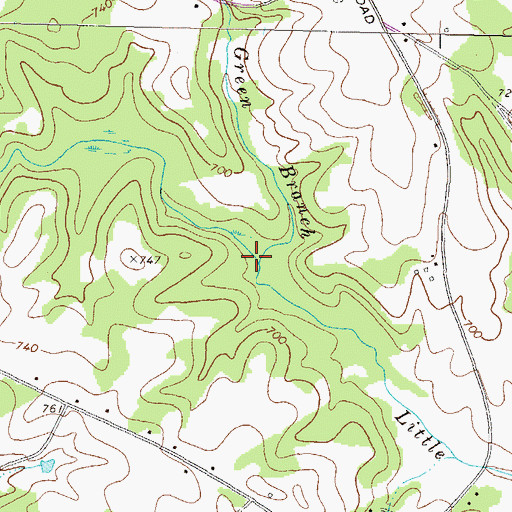 Topographic Map of Green Branch, GA