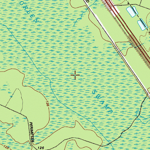Topographic Map of Green Swamp, GA