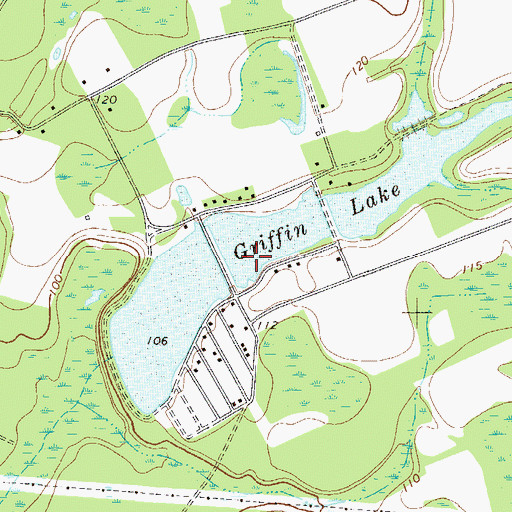 Topographic Map of Griffin Lake, GA