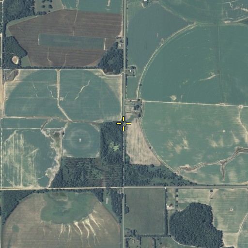 Aerial/Satellite Image of Griselda School, GA