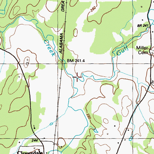 Topographic Map of Gulf Creek, GA