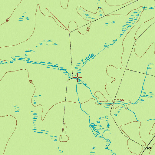 Topographic Map of Gum Branch, GA