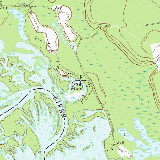 Topographic Map of Gum Pond, GA