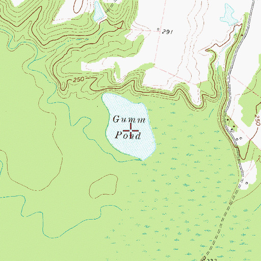 Topographic Map of Gumm Pond, GA