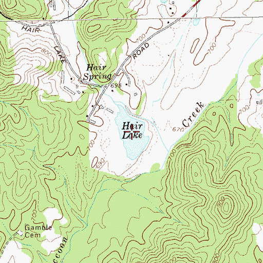 Topographic Map of Hair Lake, GA