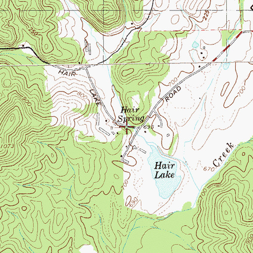 Topographic Map of Hair Spring, GA
