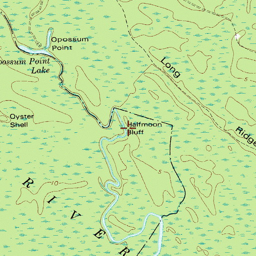 Topographic Map of Halfmoon Bluff, GA